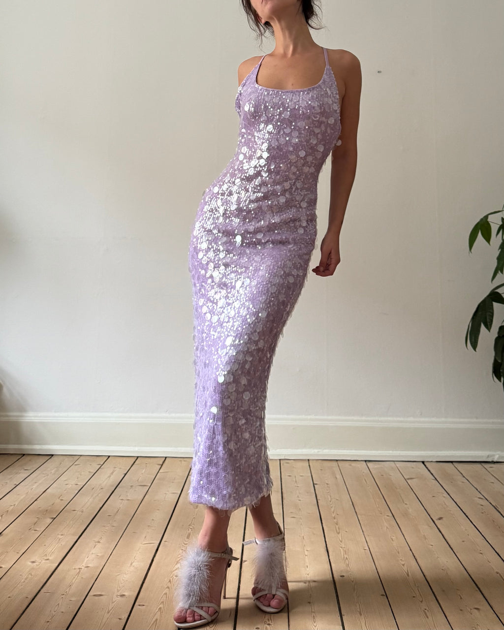 Noisy lavender