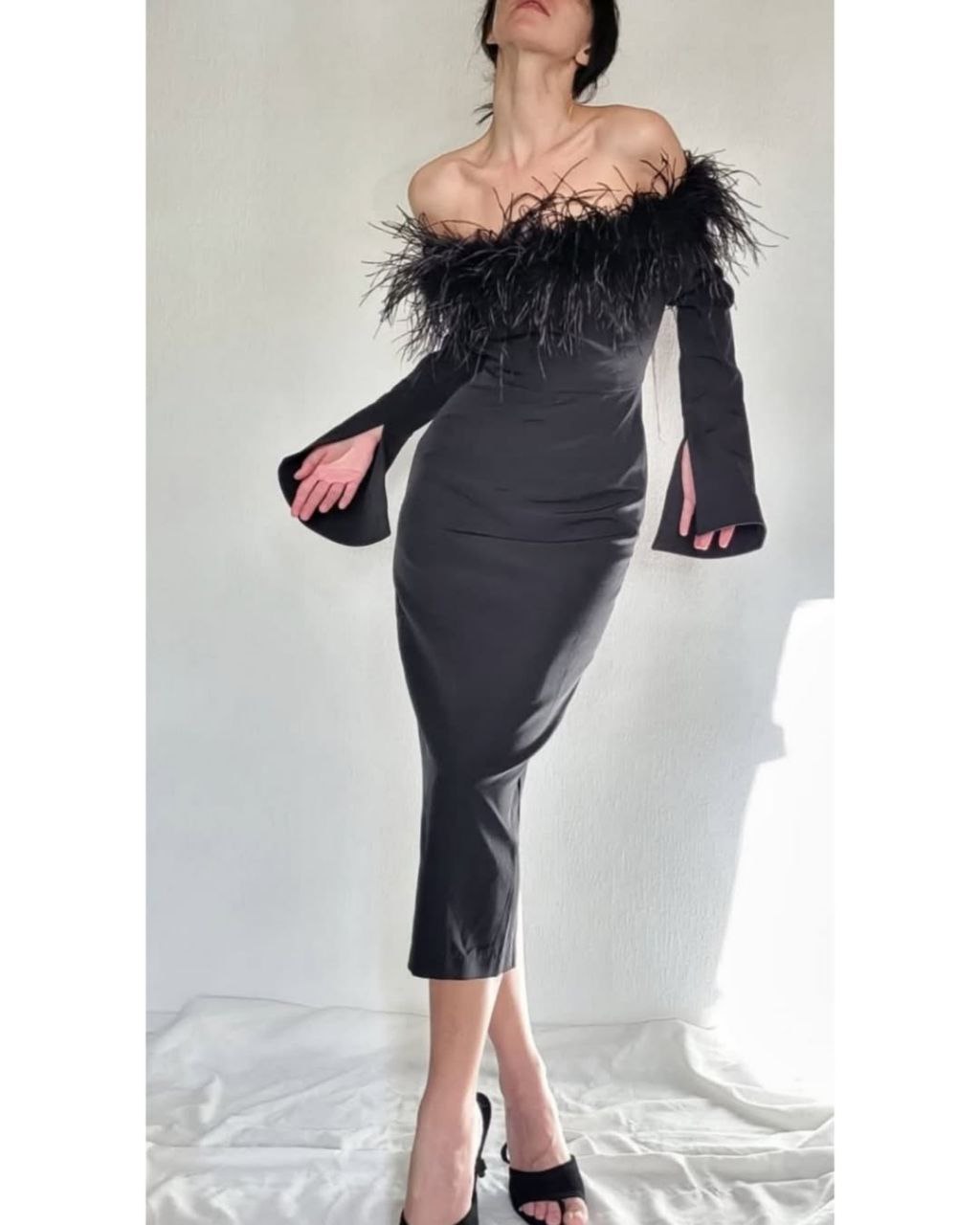Elegant feathers