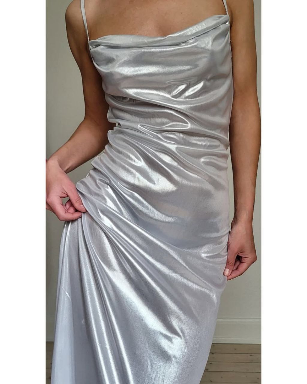 Silver snake