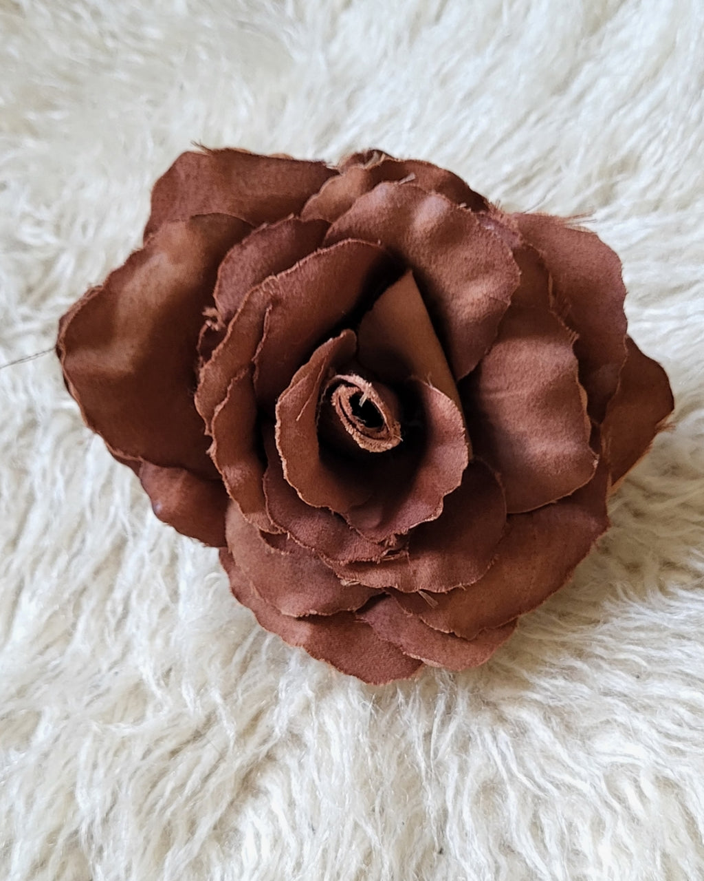 Brown rose